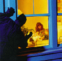 Home Intrusion Protection